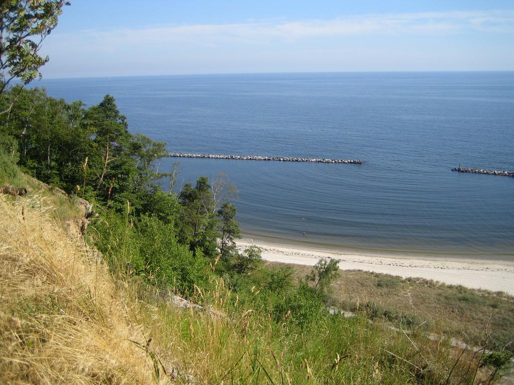 Am Kuestenwald 코세로우 외부 사진